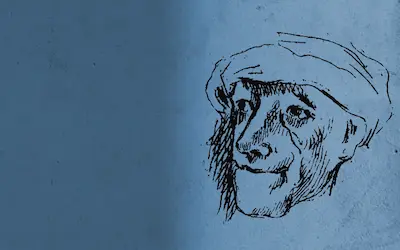 Poster for How to purchase section